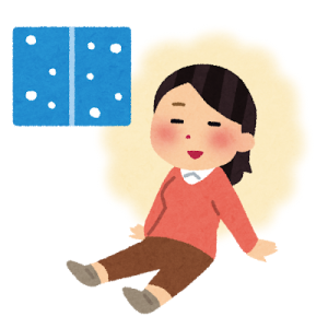 サーモスⅡ-Hで家は暖まるのか？実験してみた