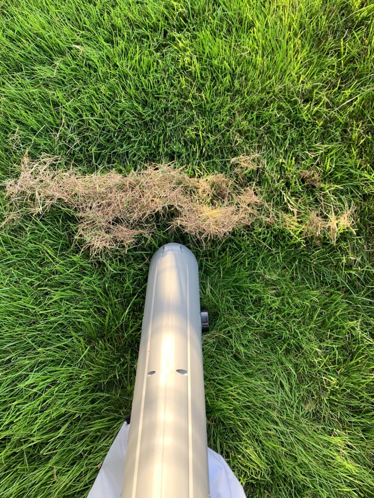 芝生のサッチ処理ならリョービのブロワバキュームを使おう ヨシローの家 ブログ