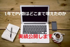 【1周年記念】PV数の実績公開